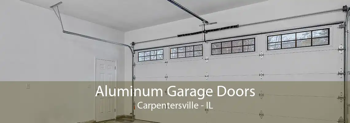 Aluminum Garage Doors Carpentersville - IL