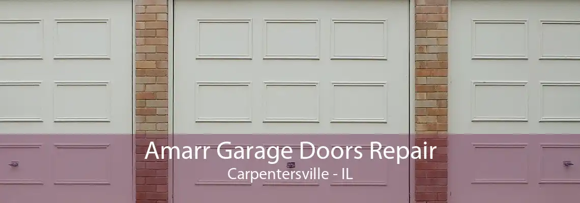 Amarr Garage Doors Repair Carpentersville - IL