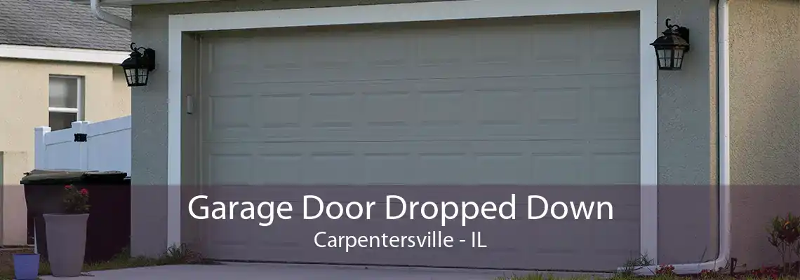 Garage Door Dropped Down Carpentersville - IL