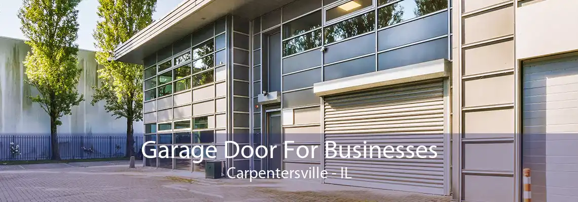 Garage Door For Businesses Carpentersville - IL