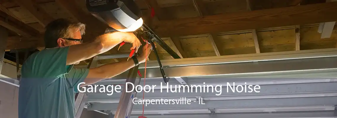 Garage Door Humming Noise Carpentersville - IL