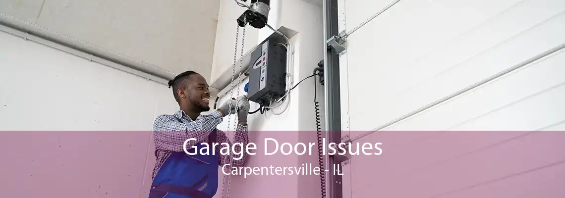 Garage Door Issues Carpentersville - IL