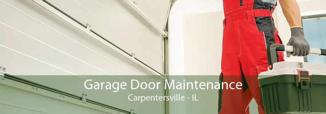 Garage Door Maintenance Carpentersville - IL