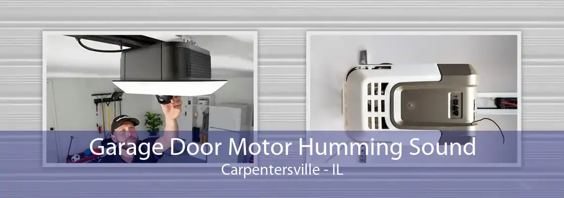 Garage Door Motor Humming Sound Carpentersville - IL