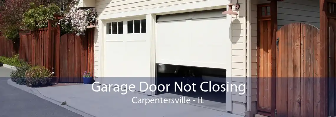 Garage Door Not Closing Carpentersville - IL