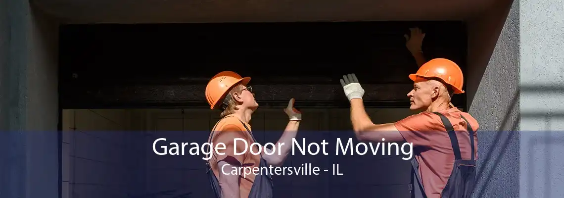 Garage Door Not Moving Carpentersville - IL