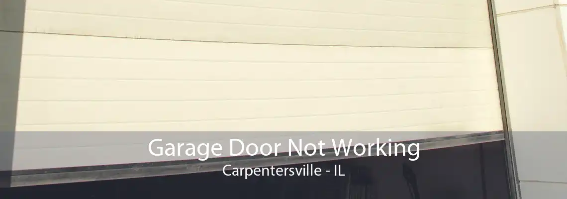 Garage Door Not Working Carpentersville - IL