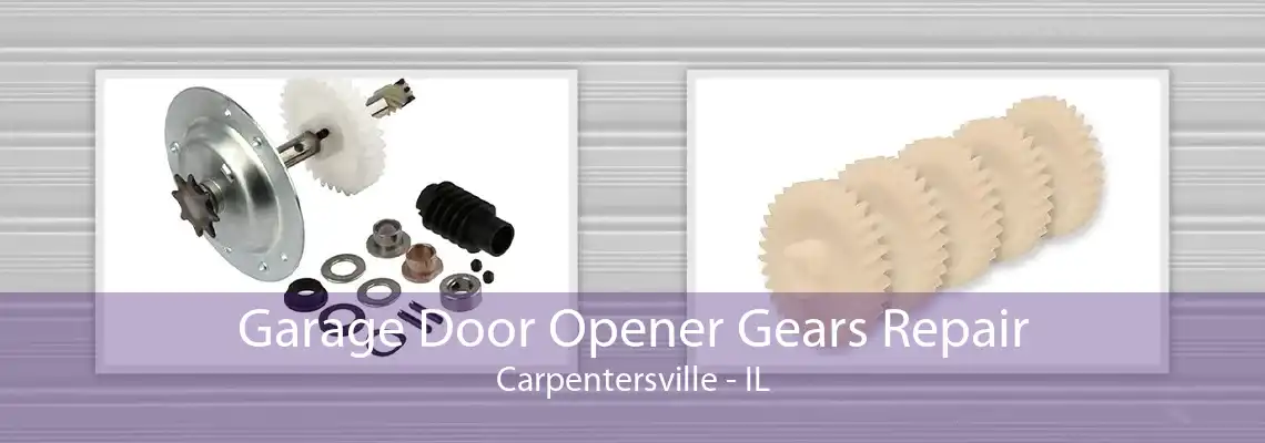 Garage Door Opener Gears Repair Carpentersville - IL