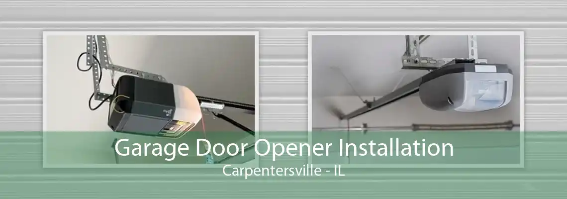 Garage Door Opener Installation Carpentersville - IL