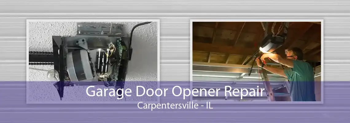 Garage Door Opener Repair Carpentersville - IL