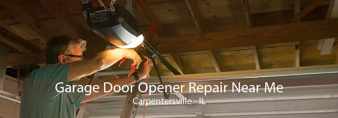 Garage Door Opener Repair Near Me Carpentersville - IL