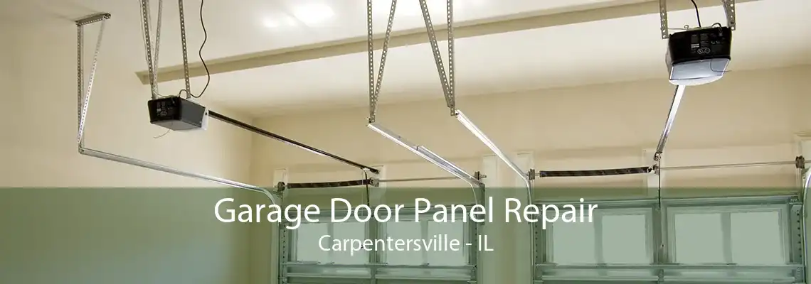 Garage Door Panel Repair Carpentersville - IL