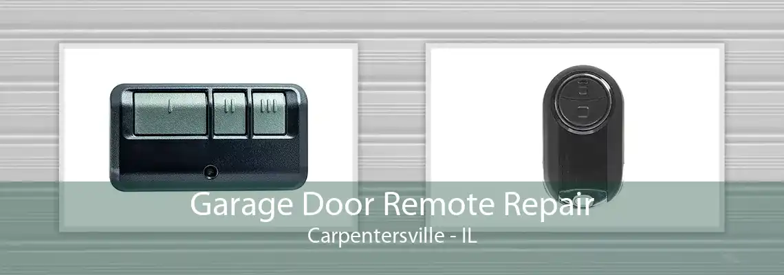 Garage Door Remote Repair Carpentersville - IL