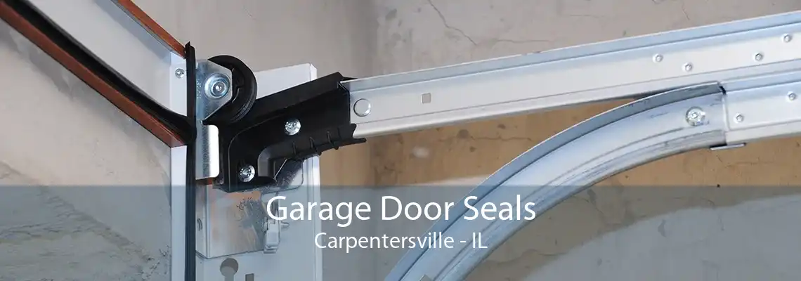 Garage Door Seals Carpentersville - IL