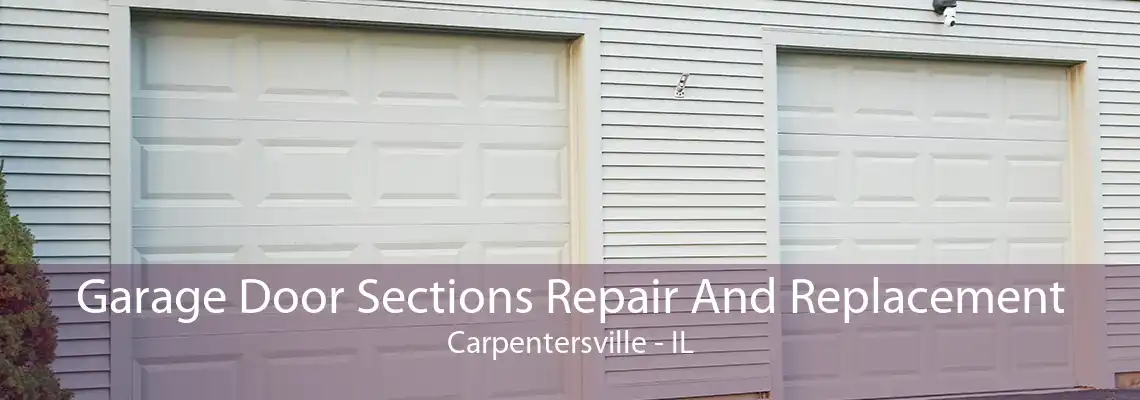 Garage Door Sections Repair And Replacement Carpentersville - IL