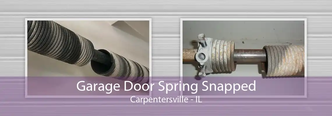 Garage Door Spring Snapped Carpentersville - IL