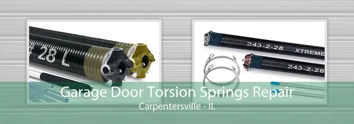 Garage Door Torsion Springs Repair Carpentersville - IL