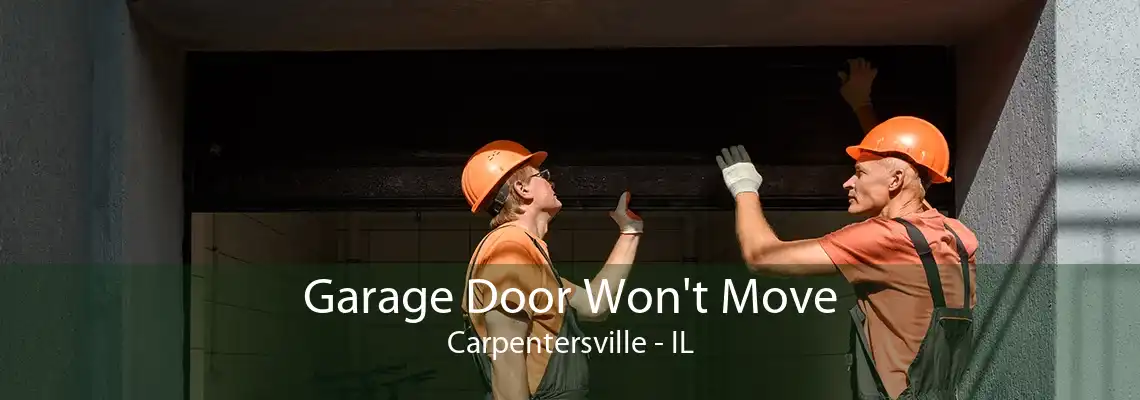 Garage Door Won't Move Carpentersville - IL