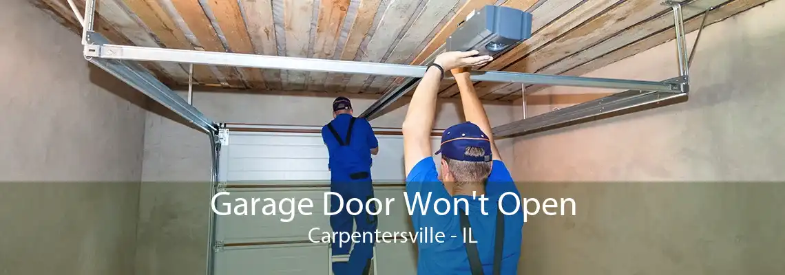 Garage Door Won't Open Carpentersville - IL