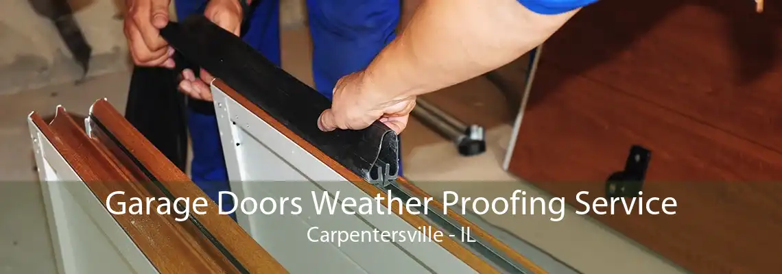 Garage Doors Weather Proofing Service Carpentersville - IL