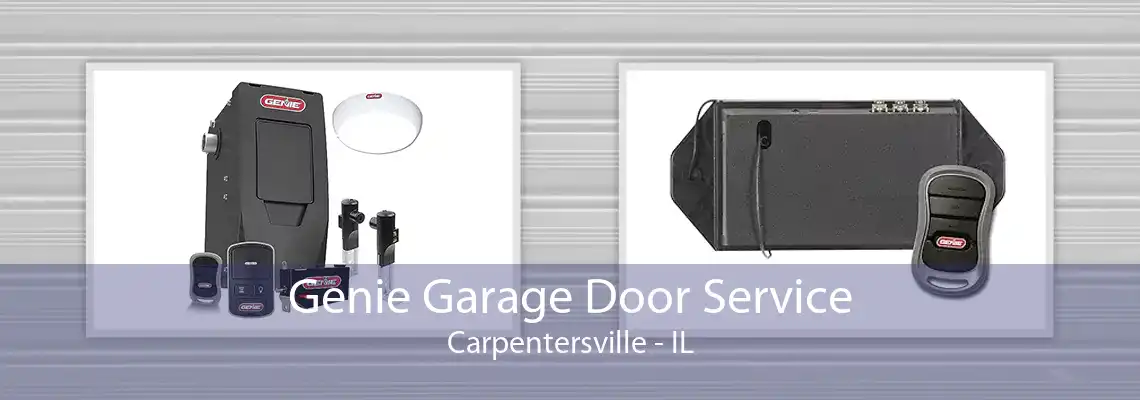 Genie Garage Door Service Carpentersville - IL