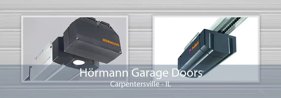 Hörmann Garage Doors Carpentersville - IL