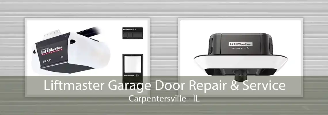 Liftmaster Garage Door Repair & Service Carpentersville - IL