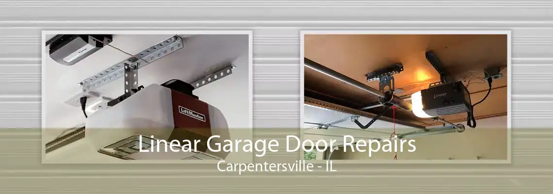 Linear Garage Door Repairs Carpentersville - IL