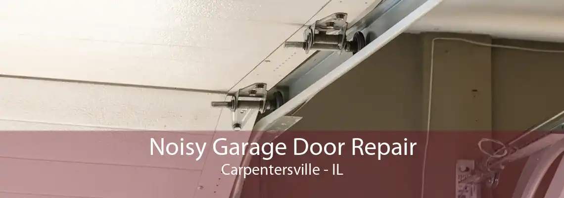 Noisy Garage Door Repair Carpentersville - IL