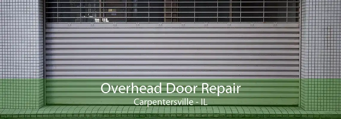 Overhead Door Repair Carpentersville - IL