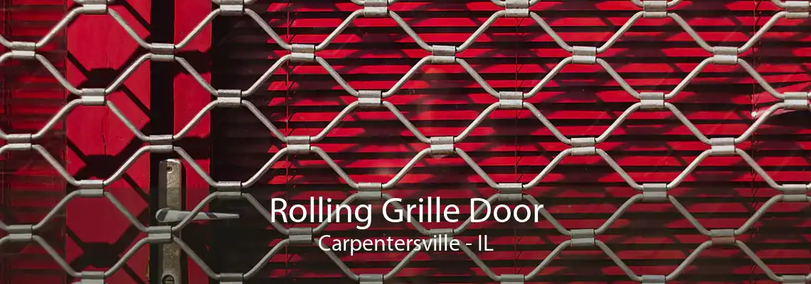 Rolling Grille Door Carpentersville - IL