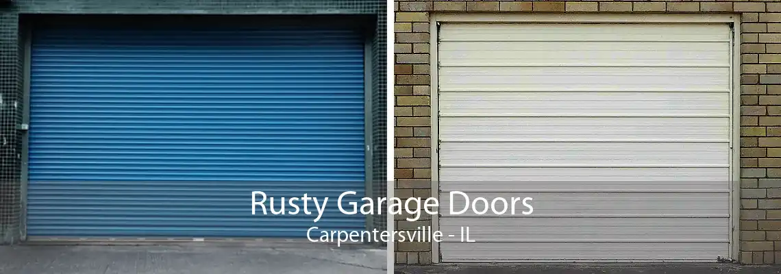 Rusty Garage Doors Carpentersville - IL