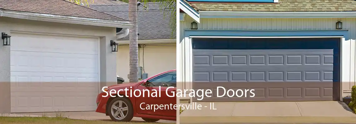 Sectional Garage Doors Carpentersville - IL